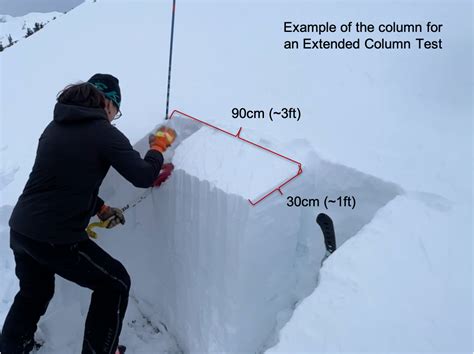 interpreting avalanche compression test|THE EXTENDED COLUMN TEST: TEST EFFECTIVENESS, .